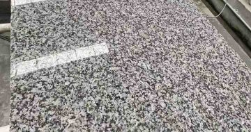 牡丹江 芙蓉白光面