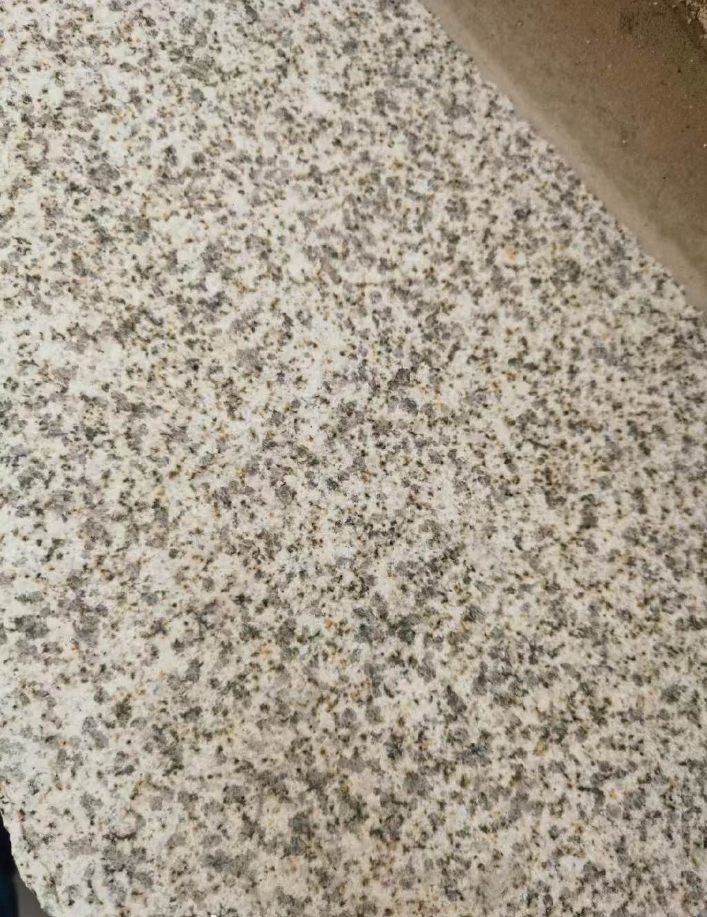 牡丹江 黄金麻中黄光面